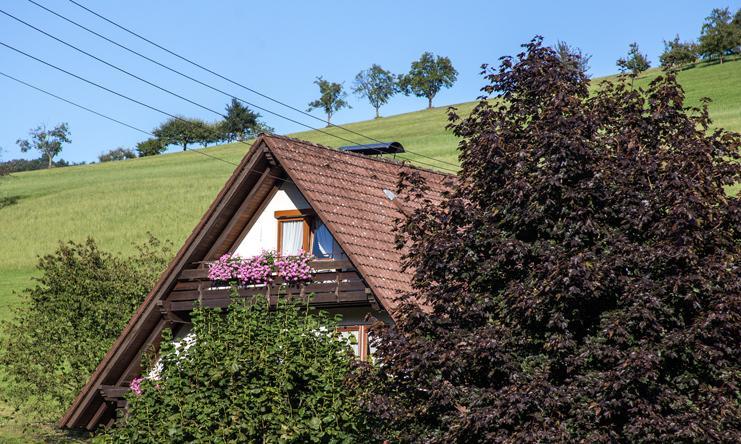 Kornbauernhof Appartement Oberharmersbach Buitenkant foto